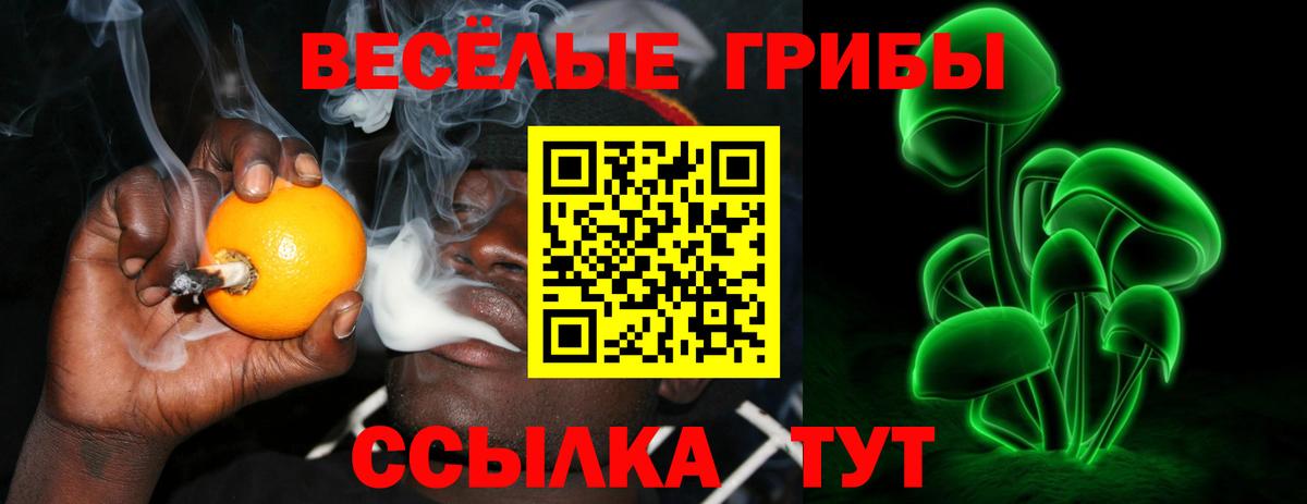 Моздок  Псилоцибиновые грибы Cubensis  Вход с VPN  магазин    Галлюциногенные грибы ЛСД 